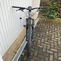 Artikelbild