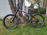 Giant Glory Downhill Gr. M