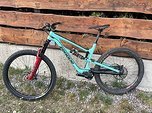 Zerode Katipo