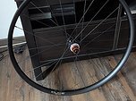 Duke Crazy Star 6ters auf Aivee 29" HR Microspline Hexenwerk Laufräder