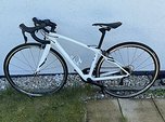 Specialized Ruby Comp Ultegra – Damen-Carbon-Rennrad (2016)