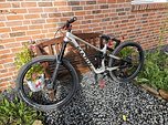 Marin Bikes Alpine Trail XR 2024 custom