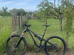 Orbea Rallon