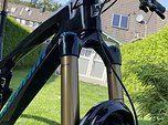 Propain Tyee CF 29" Größe L