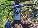 Pivot Cycles Firebird