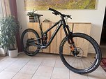 Propain Tyee CF 29" 2022 Gr. L - Super Zustand (Jobrad)