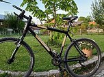 Cannondale F 500