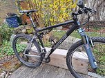Steppenwolf Tundra FS