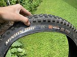 Maxxis Minion DHF