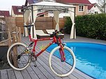 PRO Flex 856 (MTB von ehemals deutschem Meister!)