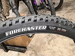 Maxxis Forekaster 29 x 2,6 EXO TR