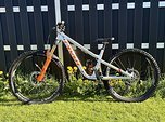 Pivot Cycles Firebird