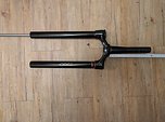 RockShox Yari Lyrik Standrohr+Krone, boost