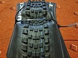 Schwalbe Wicked Will