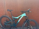 Specialized 29" Stumpjumper S-Works Carbon Rahmengröße M