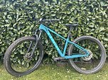 Trek Roscoe