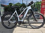 Rose Bikes Mayor Plus 1 SUV Midstep 2022 Sterling Silver Vorführer