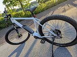 Bulls LT Performance E-Bike 29" 54cm Neuwertig