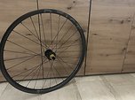 Beast Hinterrad: Beast TR 30 Felge - Tune Climb Hill Keramik Nabe