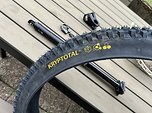 Continental Kryptotal 29 x 2,6 Enduro Soft NEU