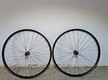 DT Swiss XM481 - 240