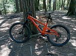 Orange switch 7