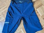 Alpinestars alps 8.0