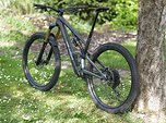 Specialized Stumpjumper Evo full 29" Carbonteile und Trickstuff
