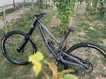 Nukeproof Dissent c