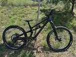 Canyon Torque CF 8 2024
