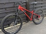 Orange Crush 29 Pro - TOP Zustand