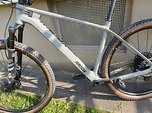 Radon Bikes Jealous 8.0 20" Cf