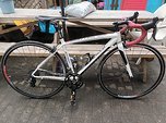 Specialized Allez Expert Rennrad