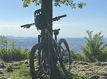Rocky Mountain Slayer 2019