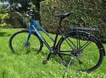 Trek FX 3 Disc Stagger Gen 3