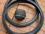 Schwalbe Tacky Chan 29x2.40