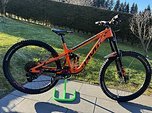 Pivot Cycles Firebird