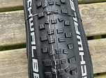 Schwalbe 29" 2.6 Tubeless Tires
