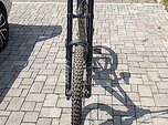 Scott Gambler M