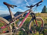 Intense Spider 275C