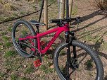 Vpace Max24 Crazy Pink Hardtail (Matz)