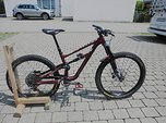 Specialized Status