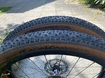 Continental Reifen Race King 27,5 | 650B x 2,20 BlackChili