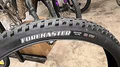 Maxxis Forekaster 29 x 2,6 Exo TR