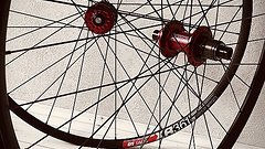 DT Swiss Tune Gravel /XC Laufradsatz