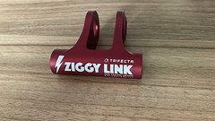 Forbidden Ziggy Link