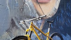2Soulscycles Quarterhorse