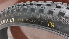 Specialized Hillbilly GridGravity9 29x2.4