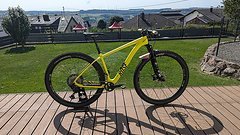 Rose Bikes Psycho Path Custom, neue 32 Fox, Dropper, 10,45kg