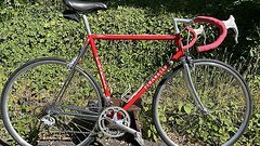 Pinarello Treviso Rennrad von 1992 mit Campagnolo Record - RH 58 cm